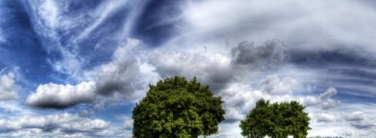 Trees Blue Sky Fb Cover Facebook Covers